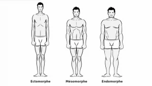 Description morpho-types